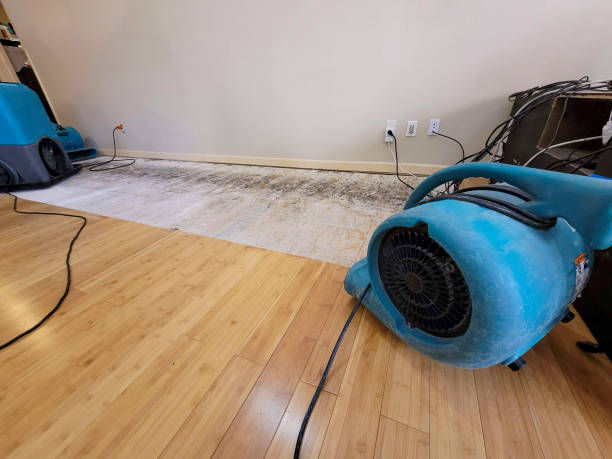 Professional Emergency Water Damage technician working in Oronoco, MN